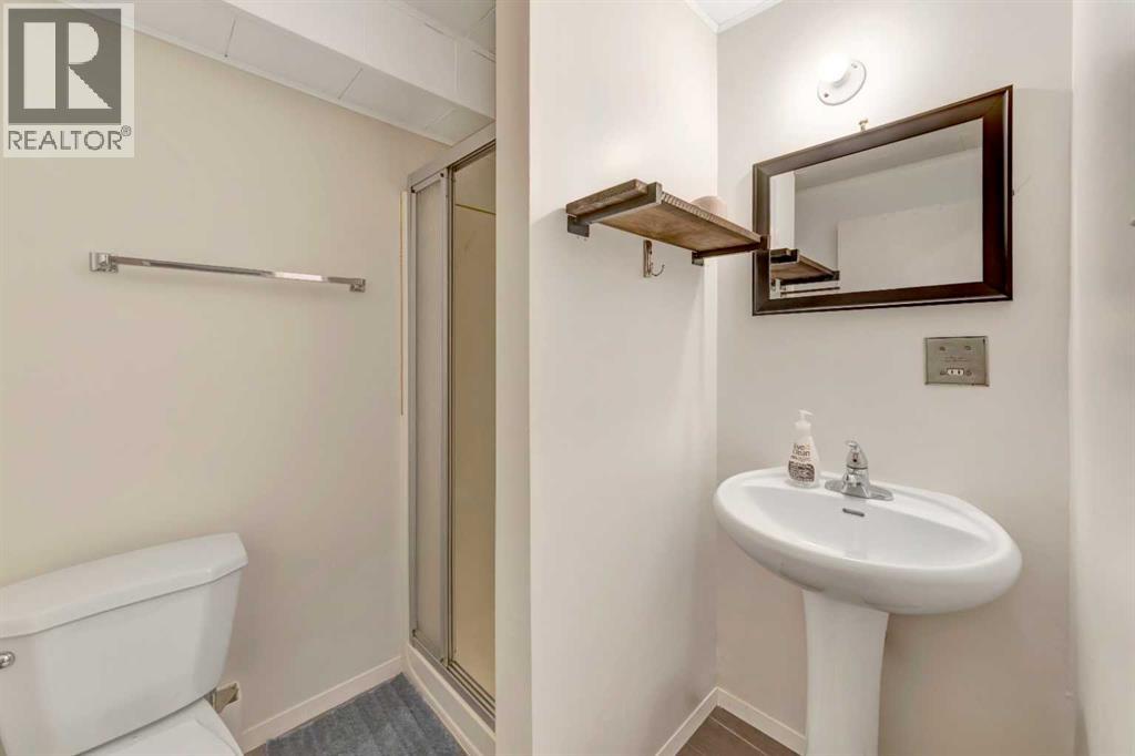 3009 49 Avenue Property Photo 16