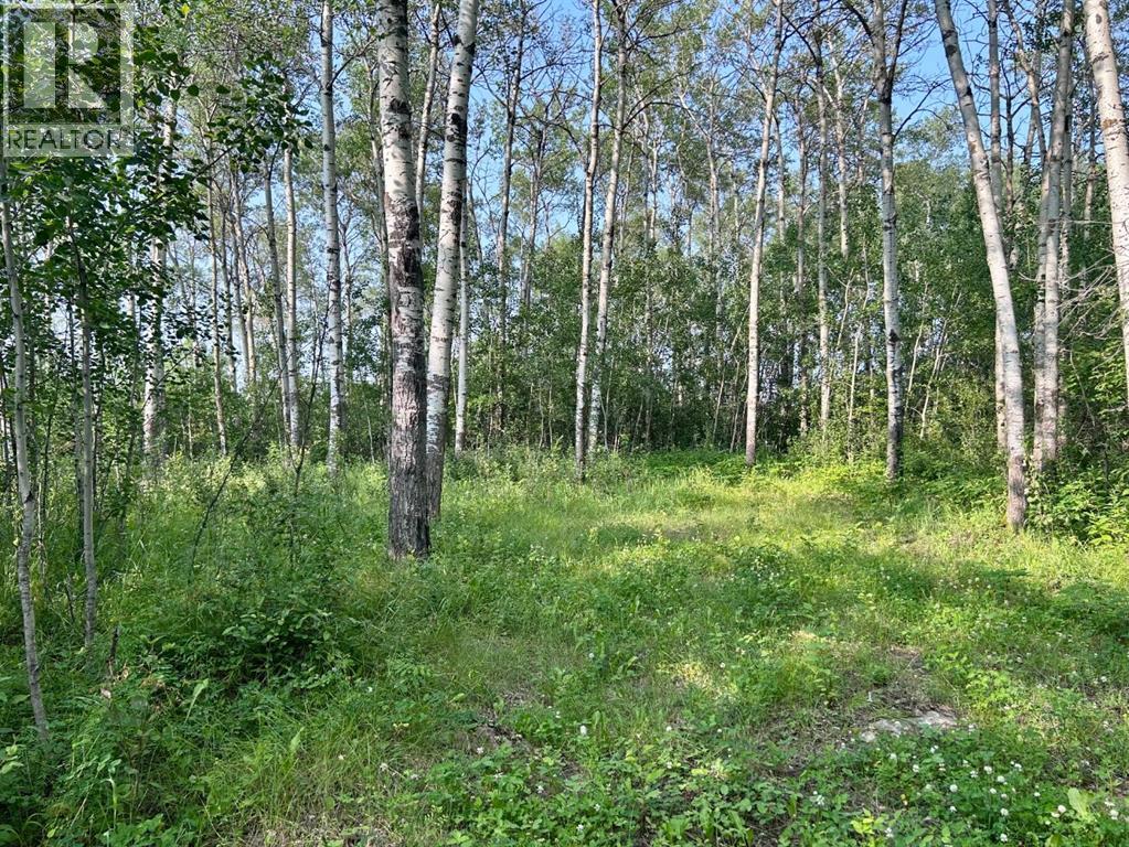 67325 Churchill Park Rd Property Photo 5
