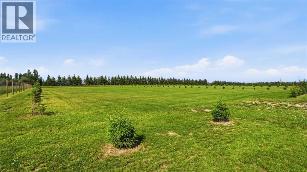 404 62036 Twp Rd 462 Property Photo 4