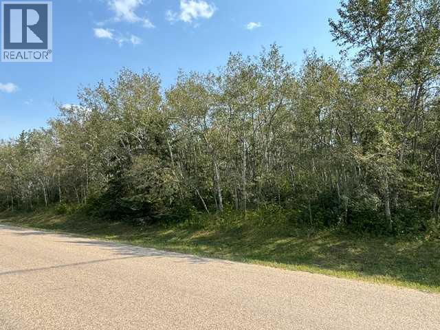 5260 38 Street Property Photo 4