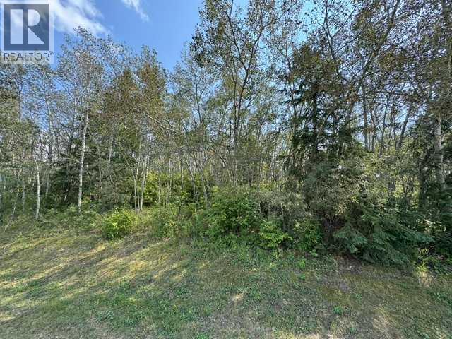 5260 38 Street Property Photo 7