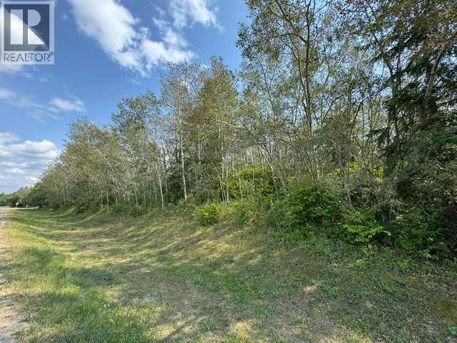 5260 38 Street Property Photo 8