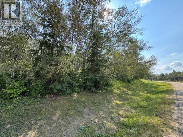5260 38 Street Property Photo 9