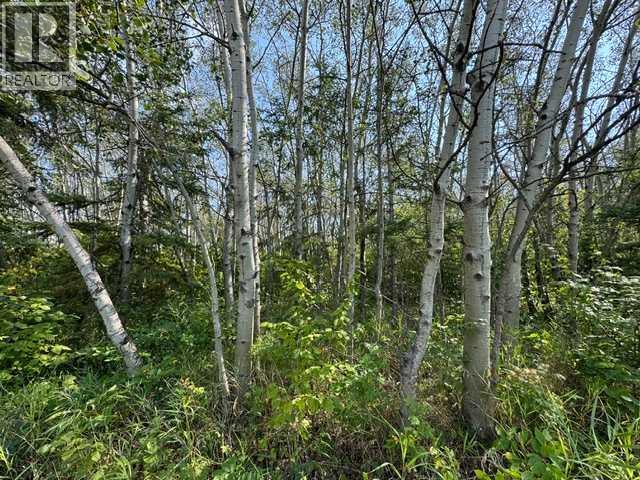 5260 38 Street Property Photo 10