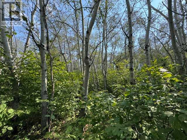 5260 38 Street Property Photo 11