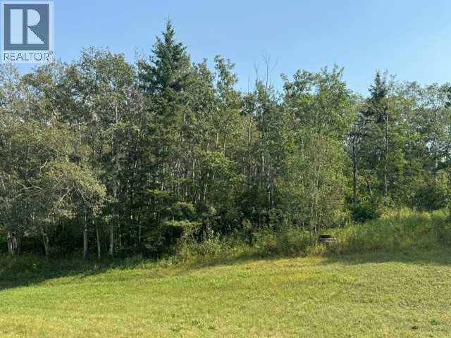 5260 38 Street Property Photo 13