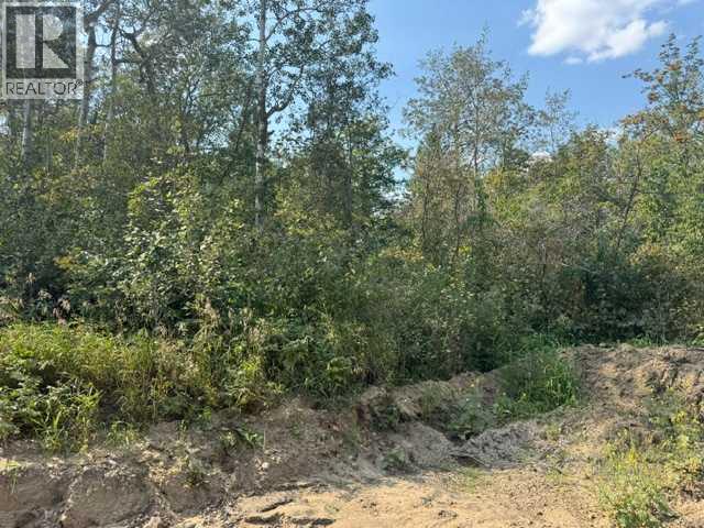 5260 38 Street Property Photo 15