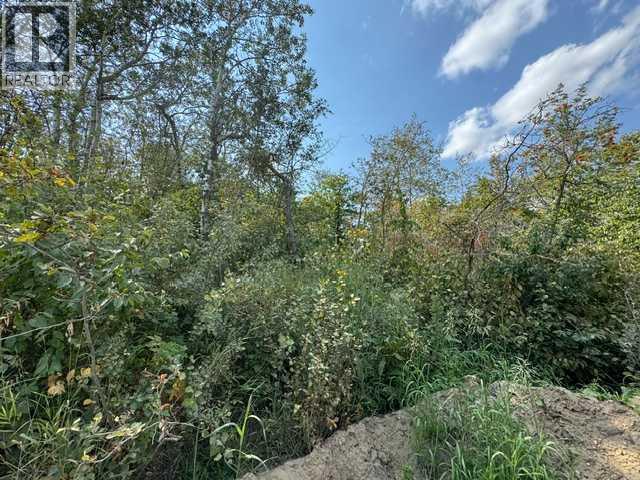 5260 38 Street Property Photo 17