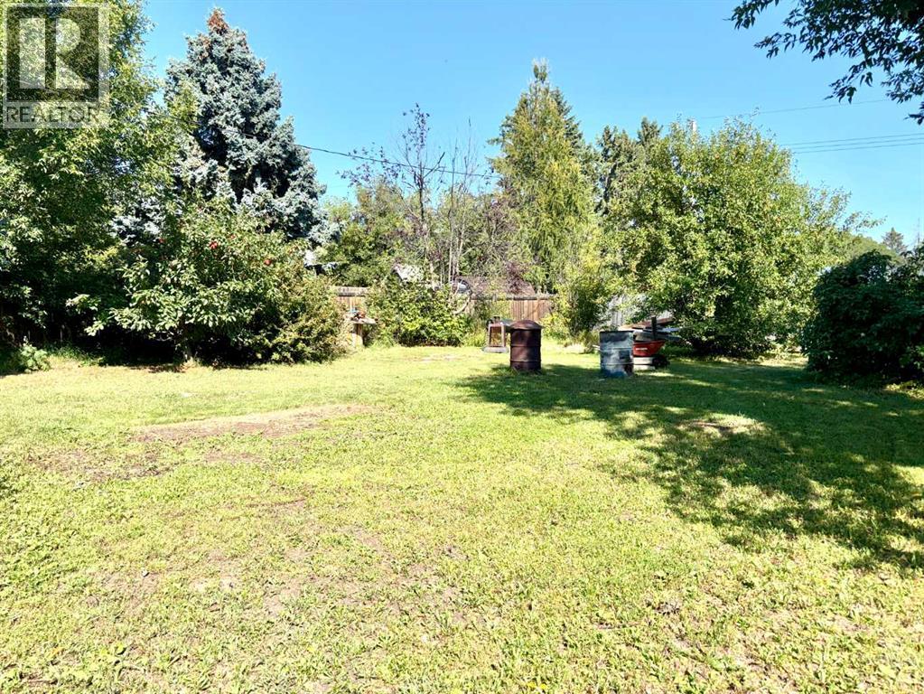202 4 Avenue Property Photo 19