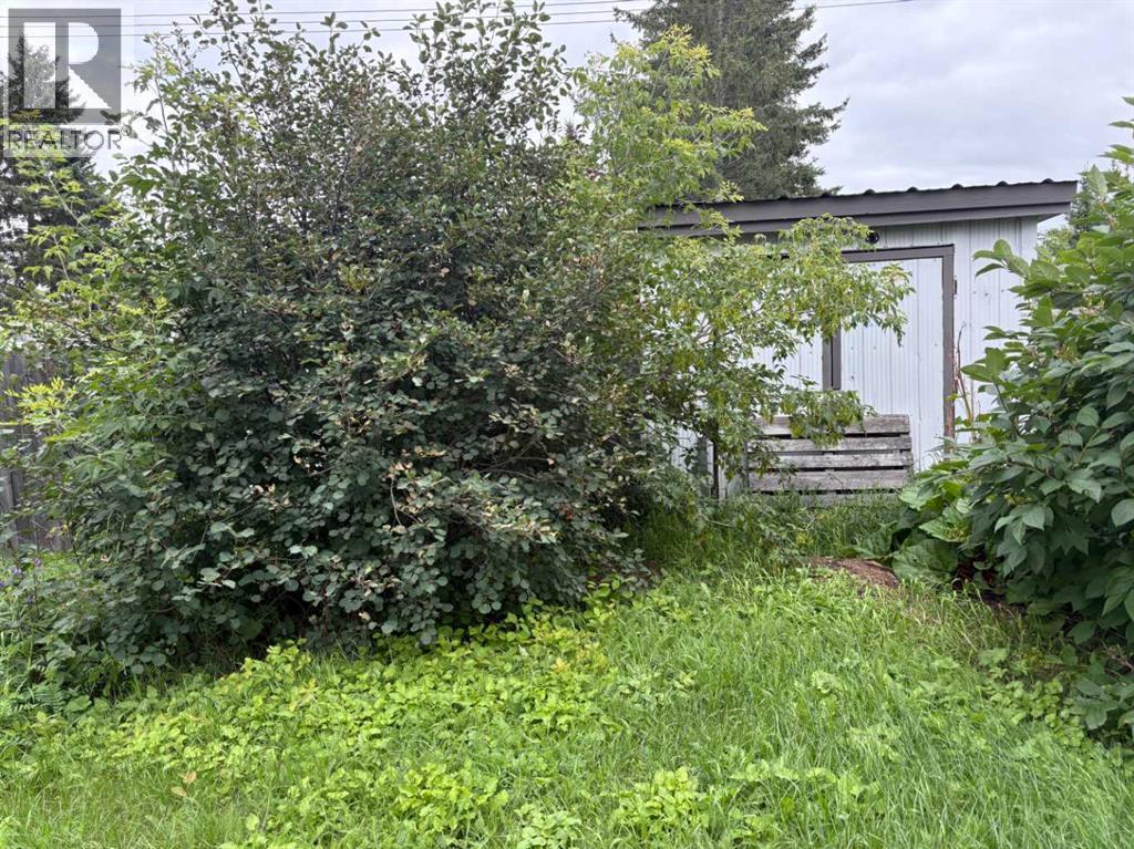 202 4 Avenue Property Photo 23
