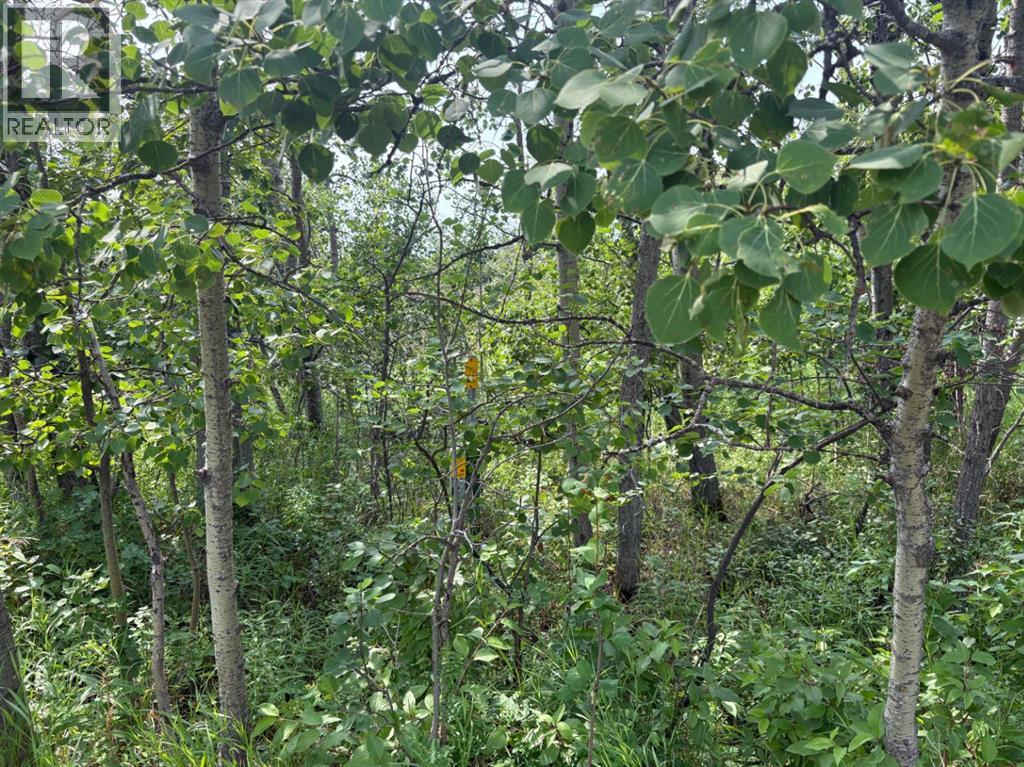 22113 Twp Rd 440 Property Photo 1