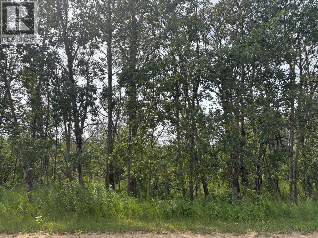 22113 Twp Rd 440 Property Photo 1