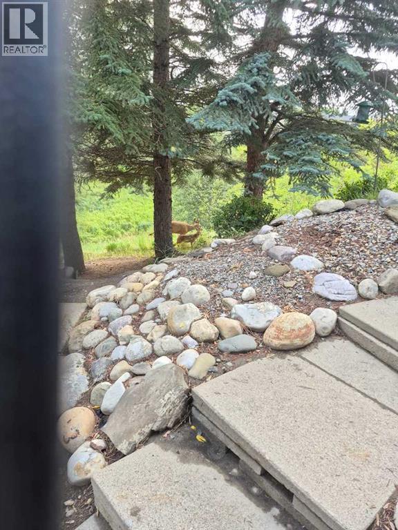 800 Bowcroft Place Property Photo 24