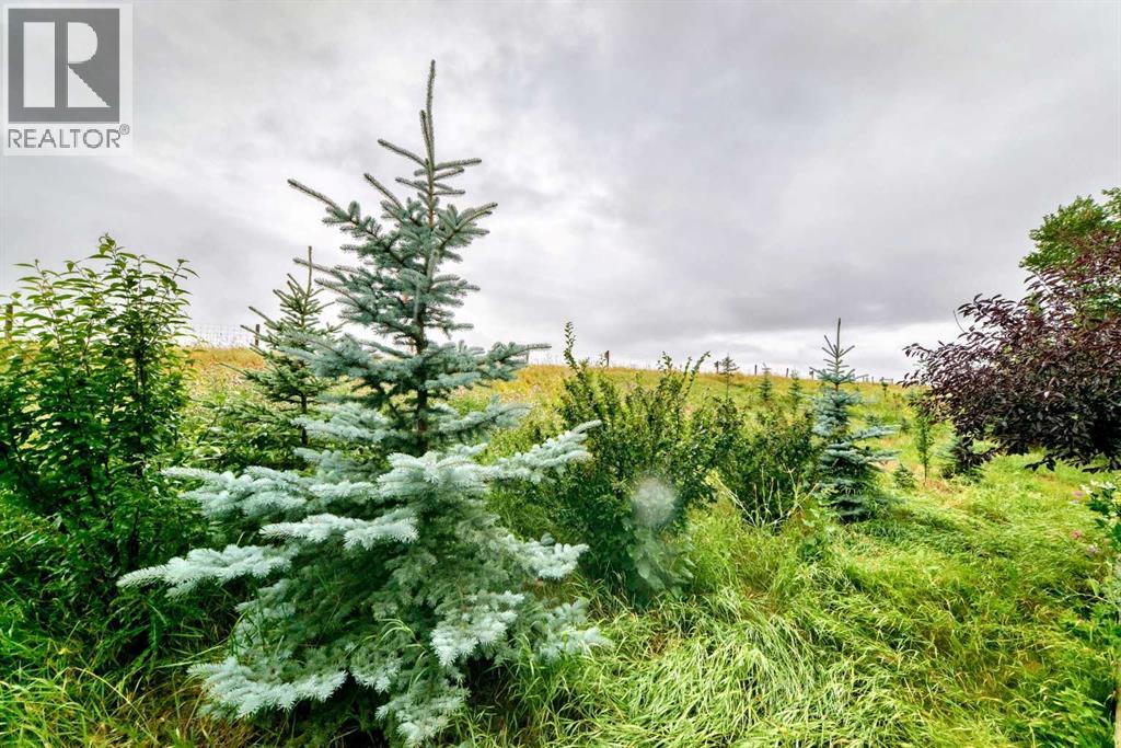 144 Cougarstone Common Sw Property Photo 47