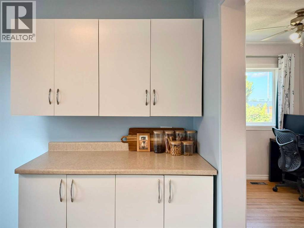 9732 100 Street Property Photo 29