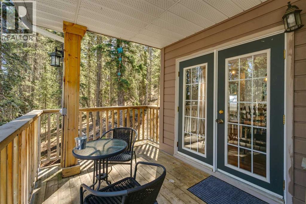 241 Mountain Lion Drive Property Photo 4