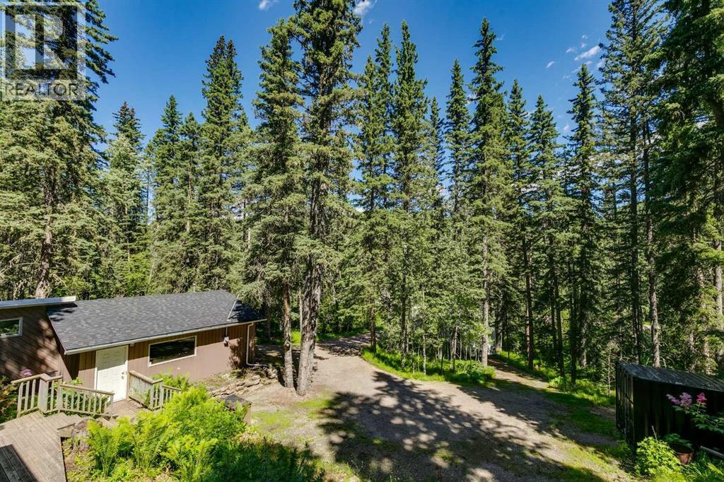 241 Mountain Lion Drive Property Photo 5