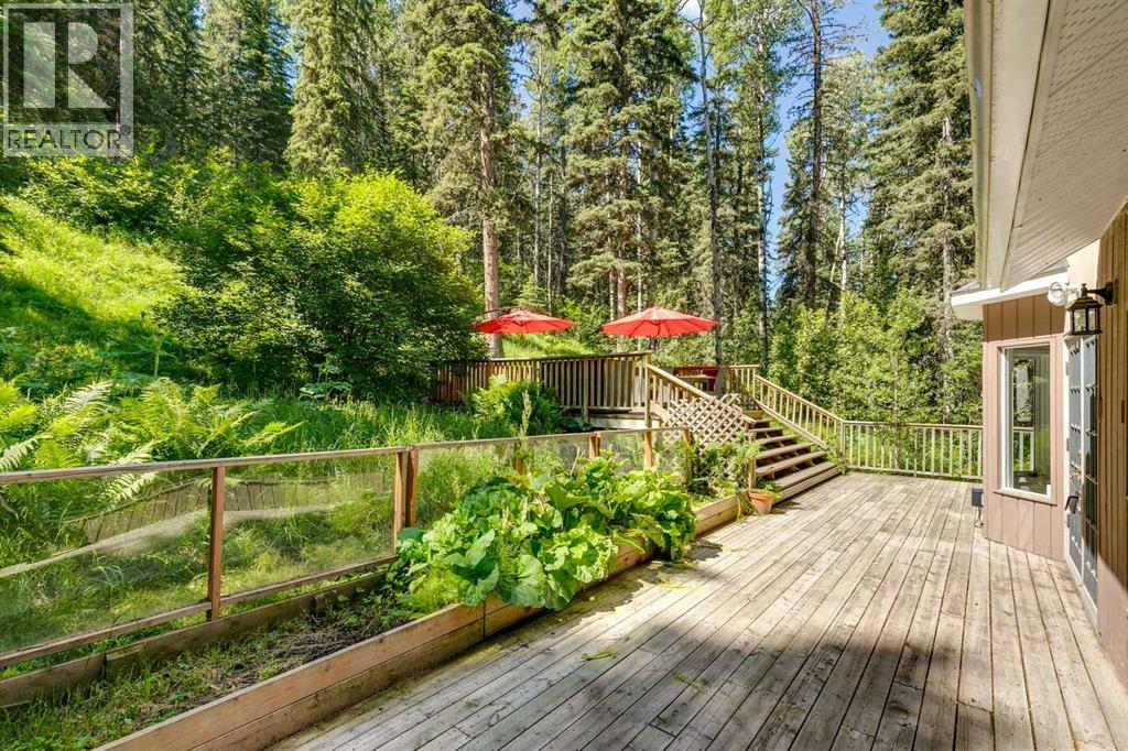241 Mountain Lion Drive Property Photo 37