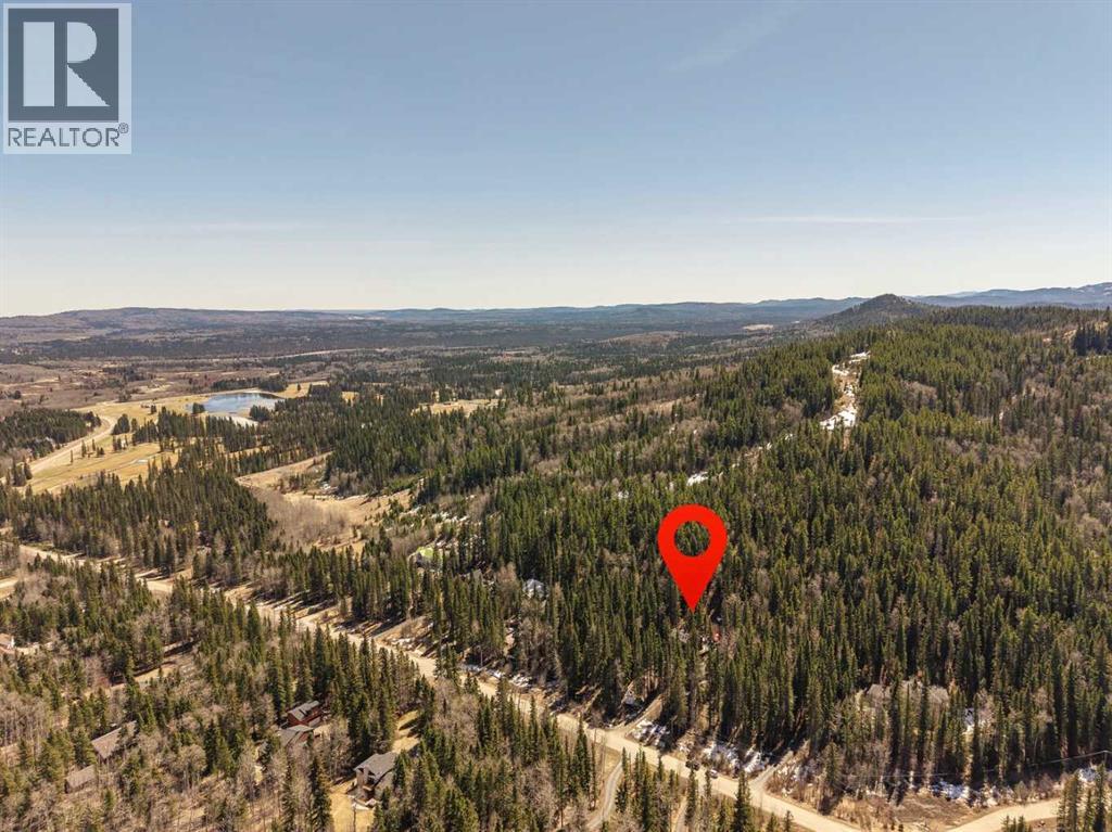 241 Mountain Lion Drive Property Photo 45