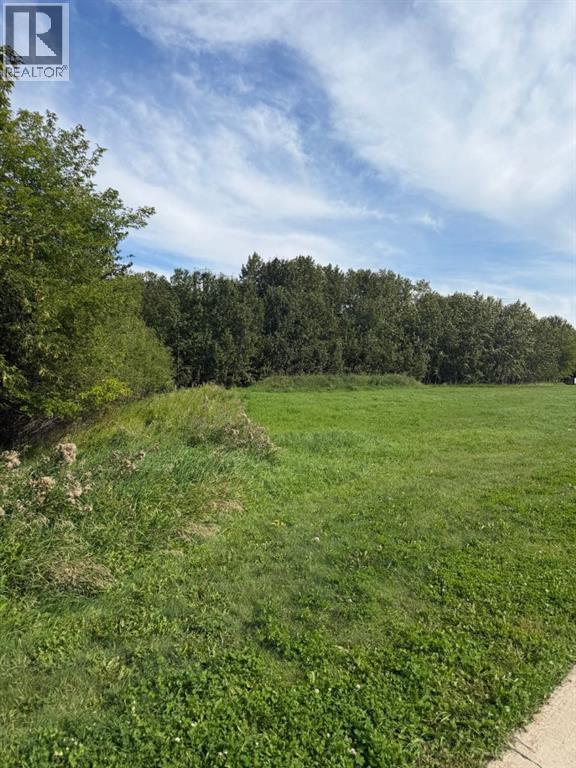 9508 99 Street Property Photo 3