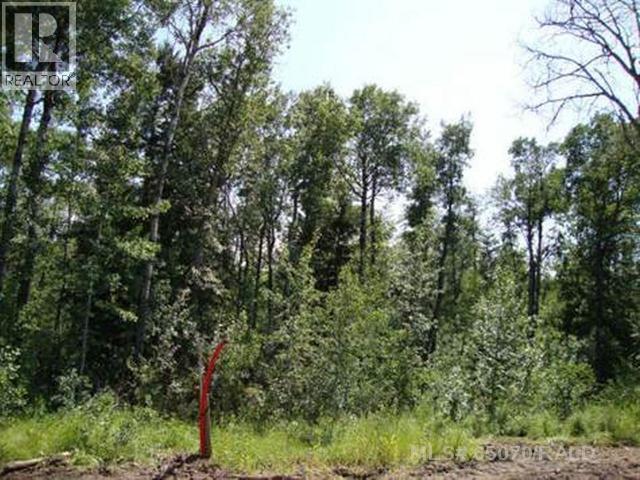 Lot 3 Blk 5 Lakeside Drive Property Photo 1