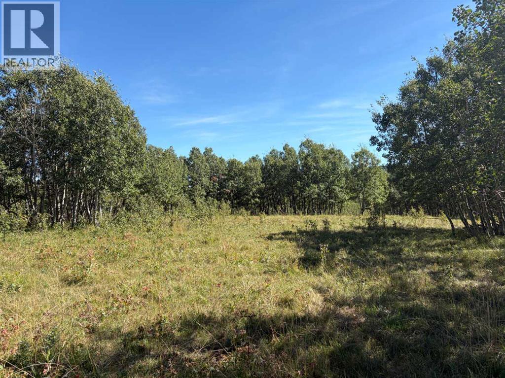 Near Sedden Road Property Photo 6