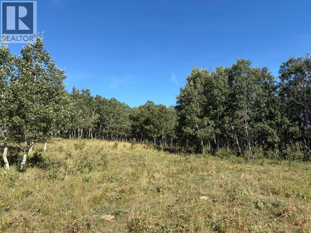 Near Sedden Road Property Photo 7