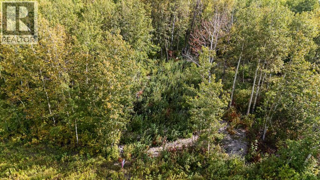 515 Railway Avenue Property Photo 6