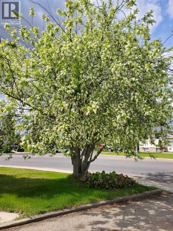 9313 111 Avenue Property Photo 28