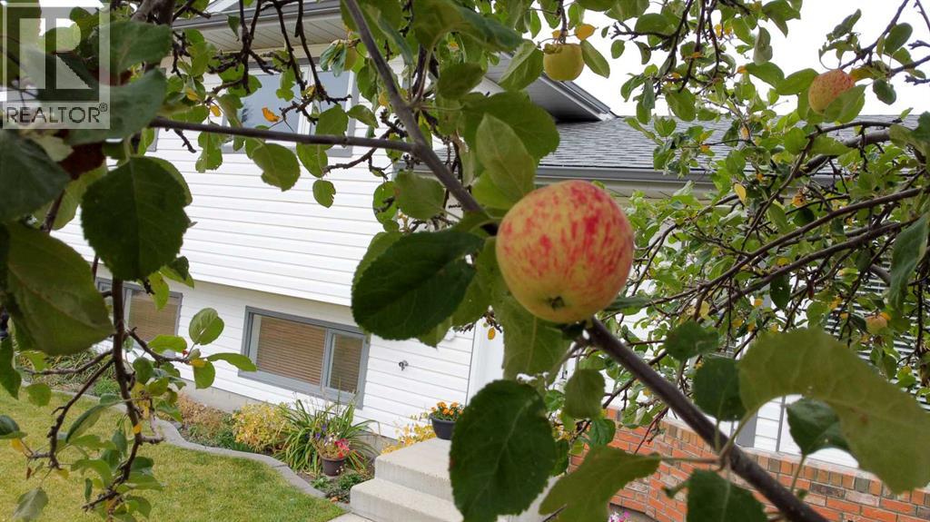 5715 58 Avenue Property Photo 8