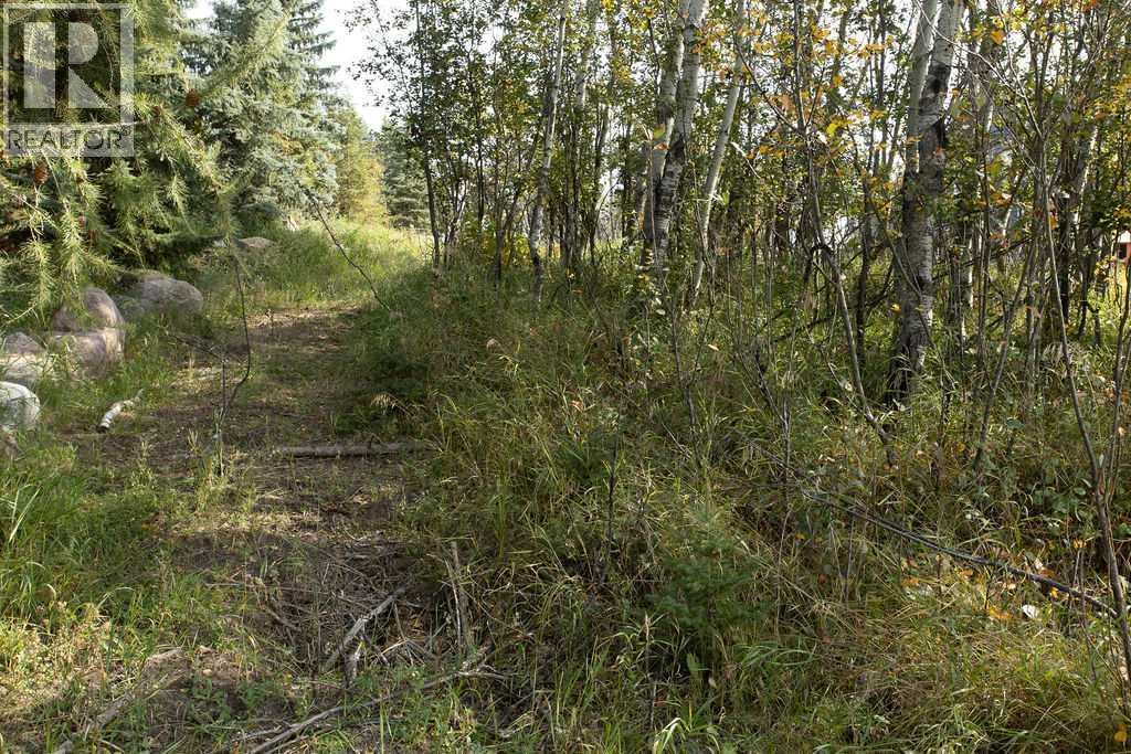 5108 42a Street Close Property Photo 8