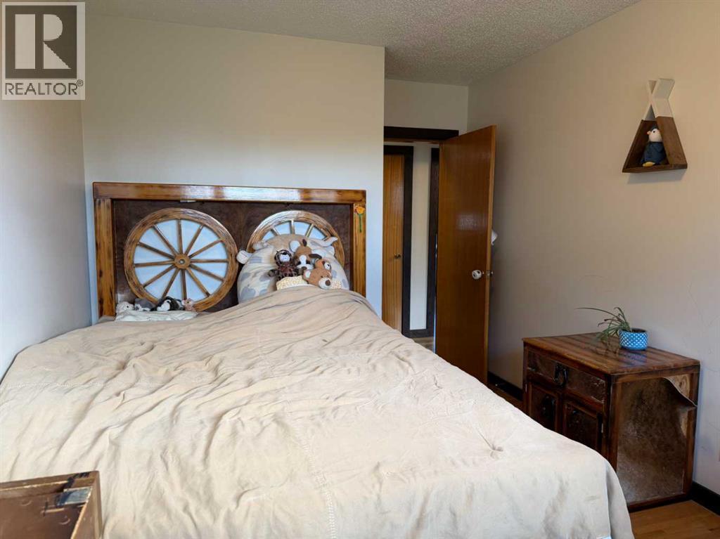 4925 56 Avenue Property Photo 17