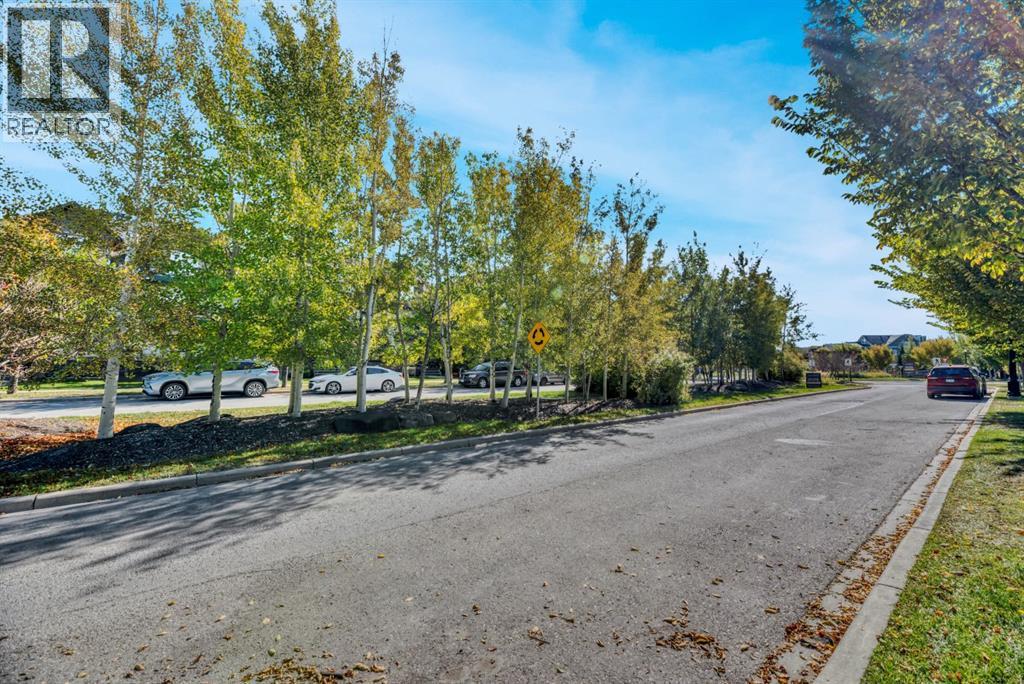 50 Belgian Lane Property Photo 4