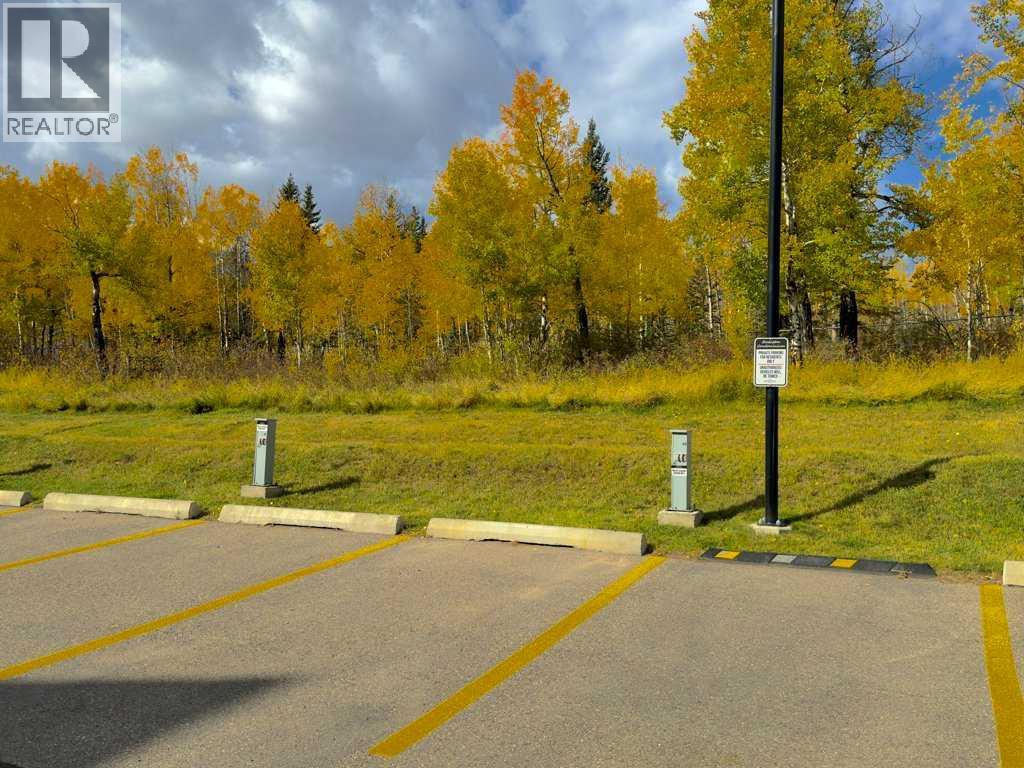 300 Palliser Lane Property Photo 39