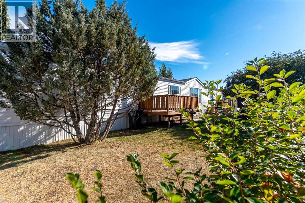 5302 56b Street Property Photo 27