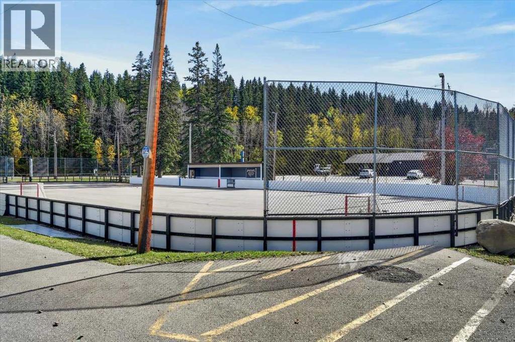 178045 Priddis Valley Road W Property Photo 39