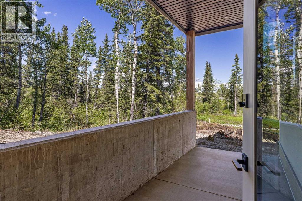 9 Bagley Pass Property Photo 37