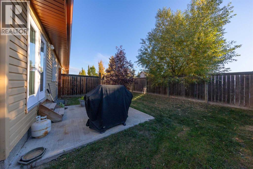 1407 53 Avenue Property Photo 26