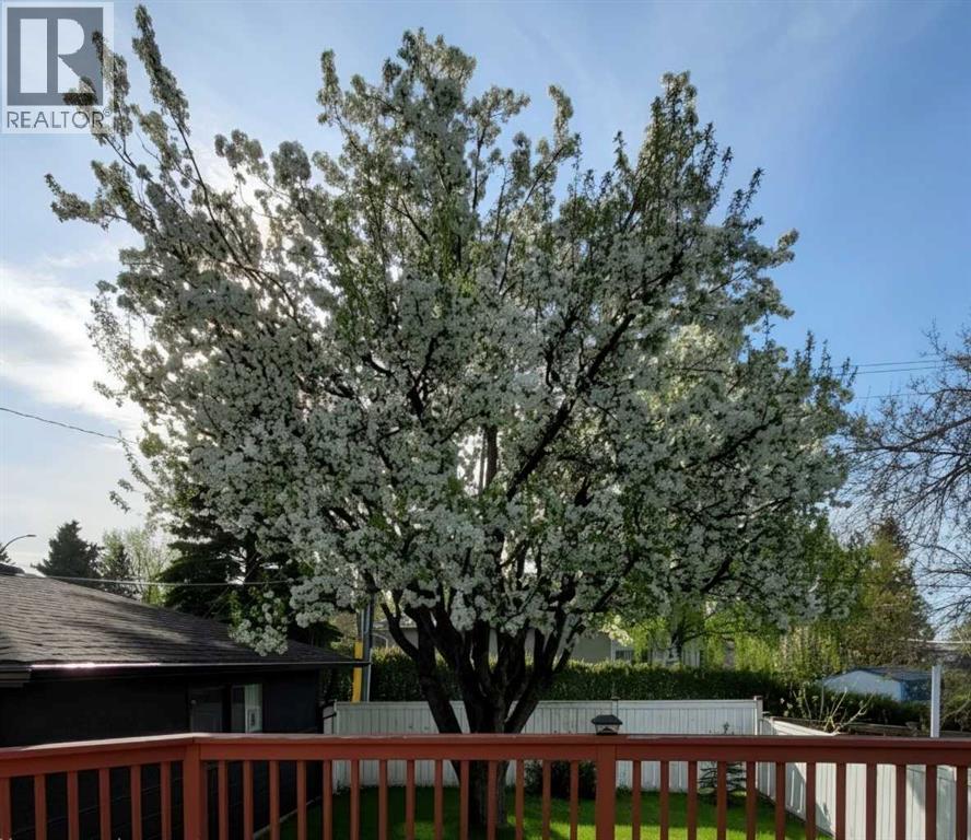 4124 19 Street Nw Property Photo 43