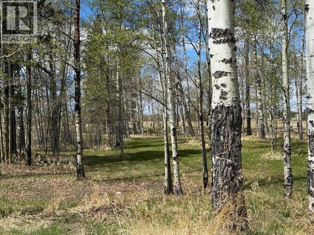 344019 22 Highway Property Photo 4