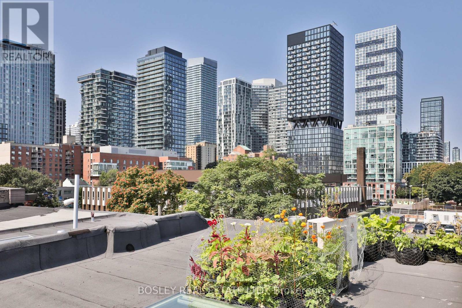 179 Queen Street E Property Photo 43