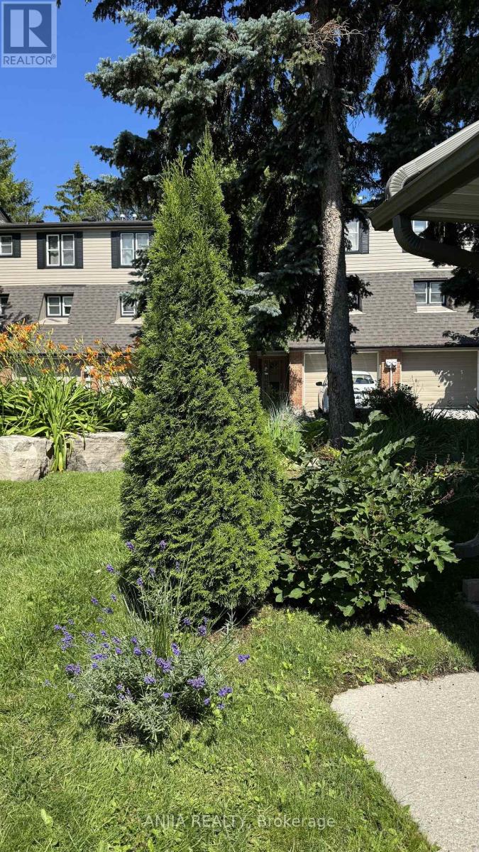 7 Purple Sageway Property Photo 43