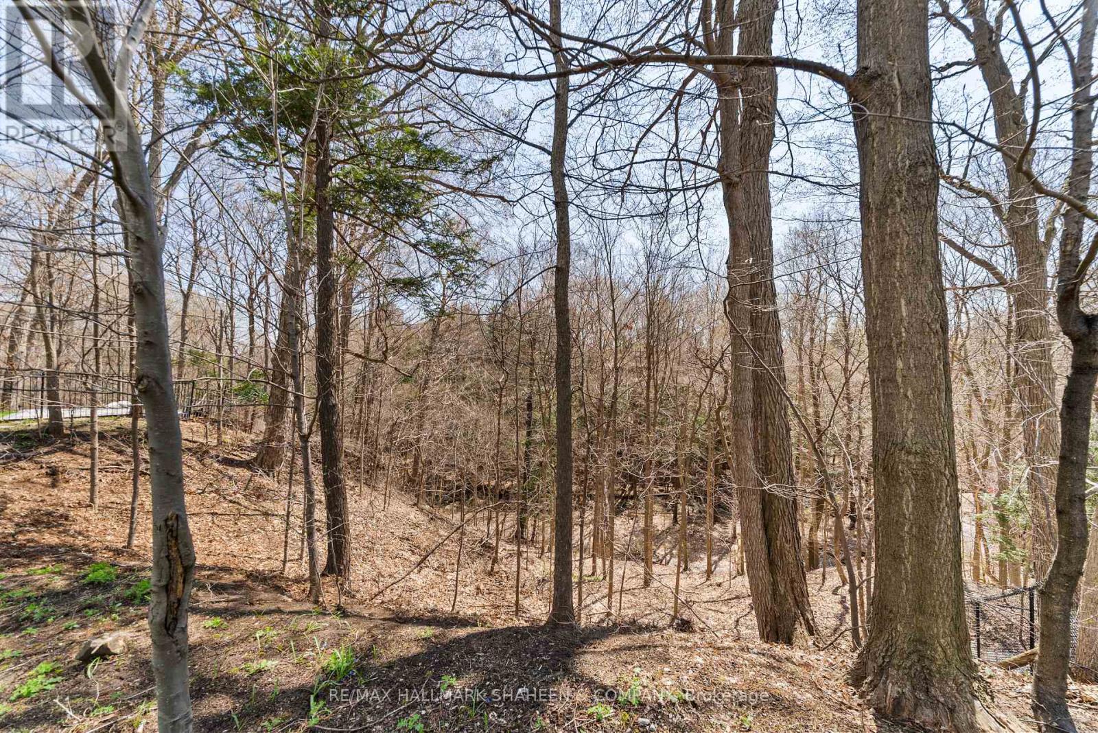 45 Hi Mount Drive Property Photo 43