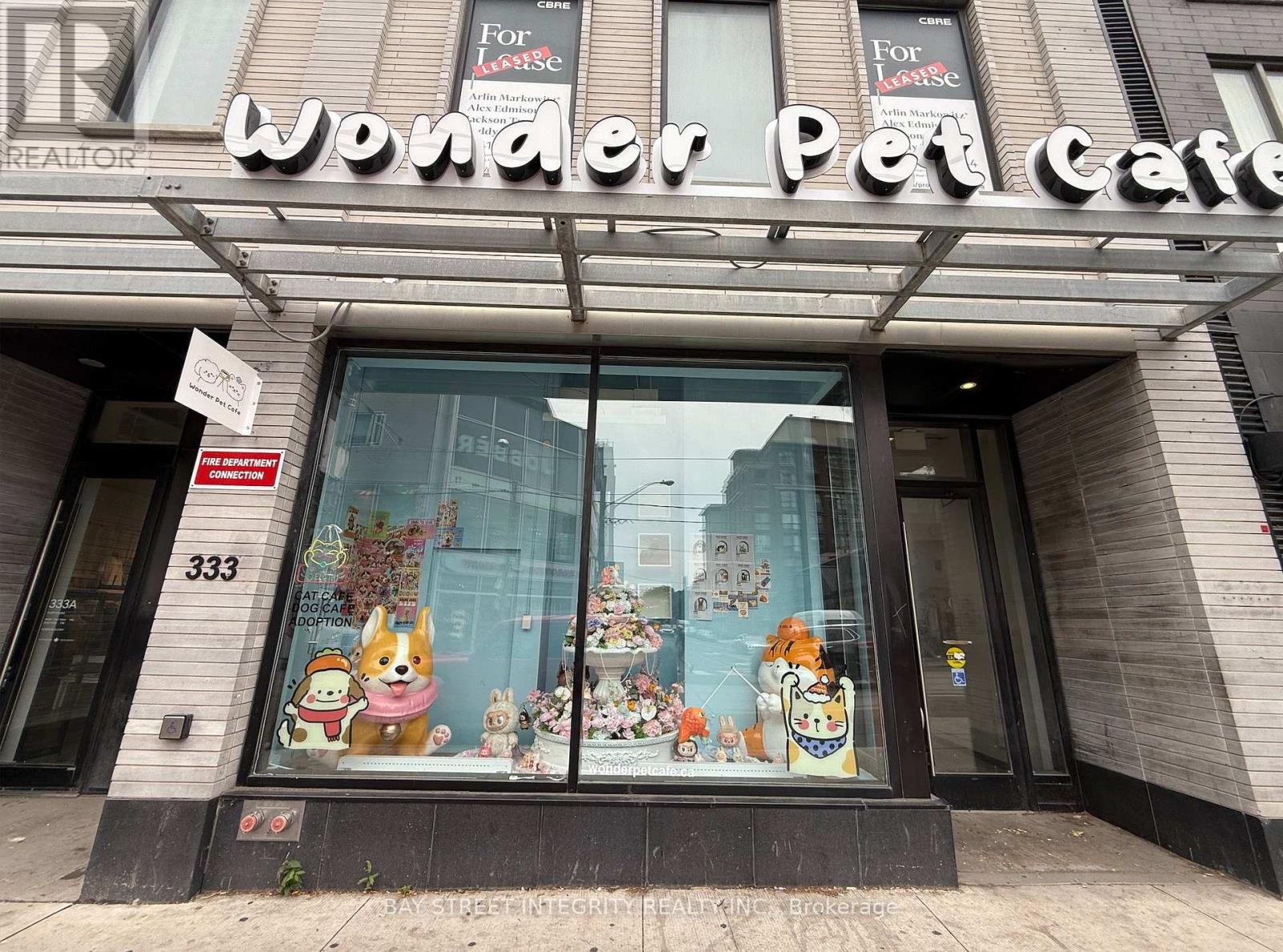 Ground - 327 - 333 Queen Street W Property Photo 6