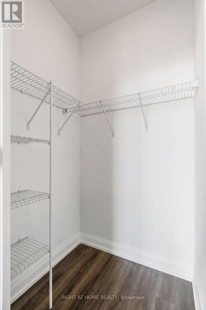 Ph03 - 20 Soudan Avenue Property Photo 24