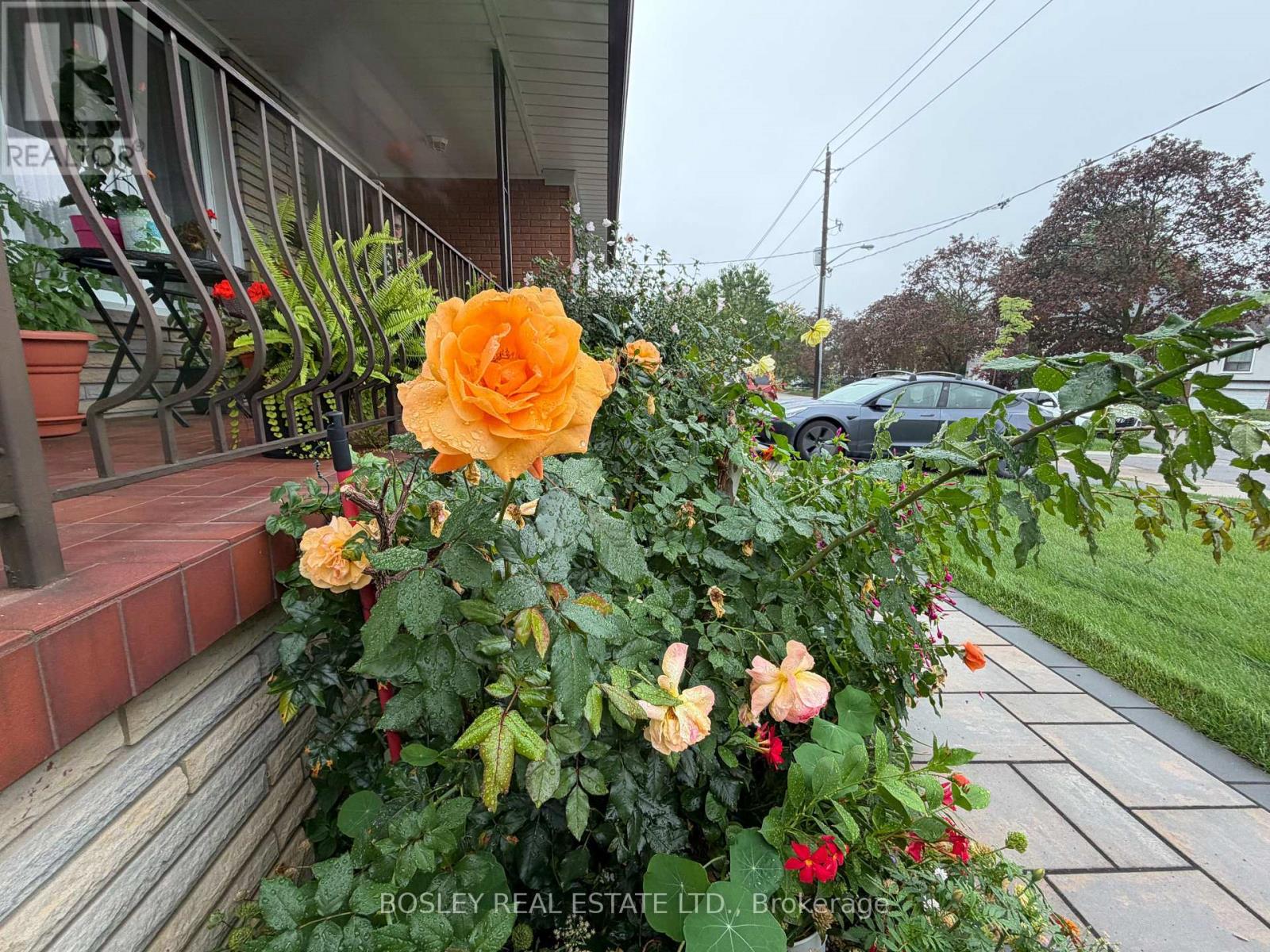 Lower - 63 Ernest Avenue Property Photo 33
