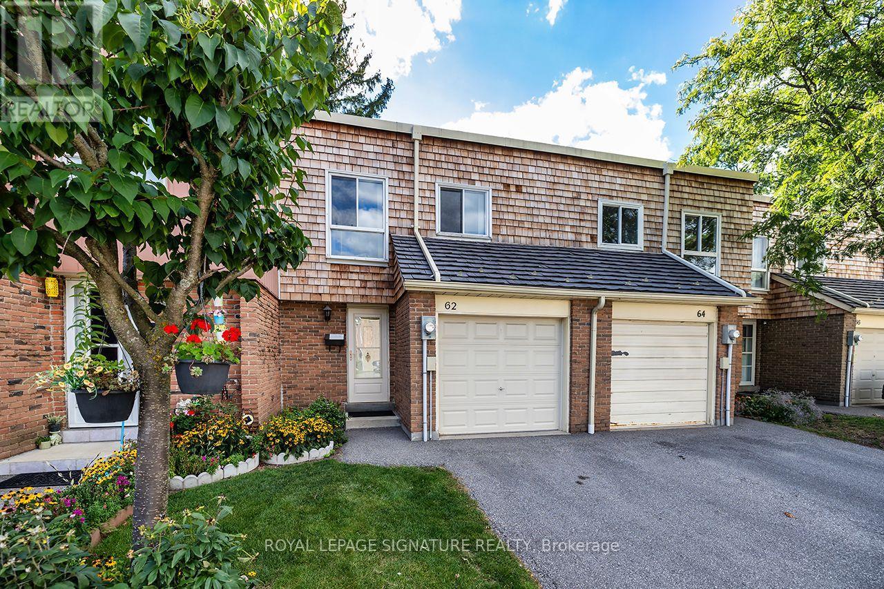 62 THORNY VINEWAY