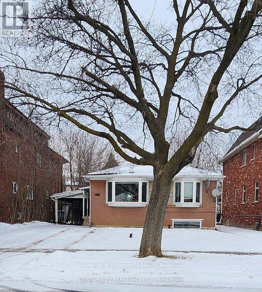 Bsmt #1 - 114 Goulding Avenue Property Photo 1