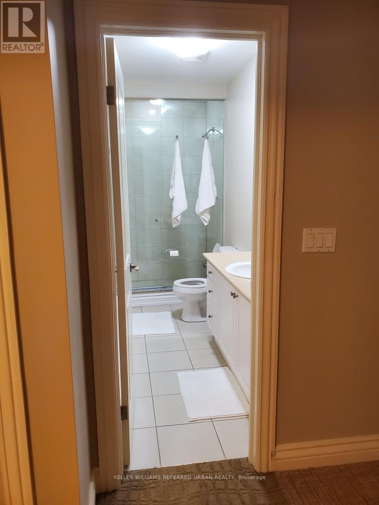 Bsmt - 523 Coldstream Avenue Property Photo 17
