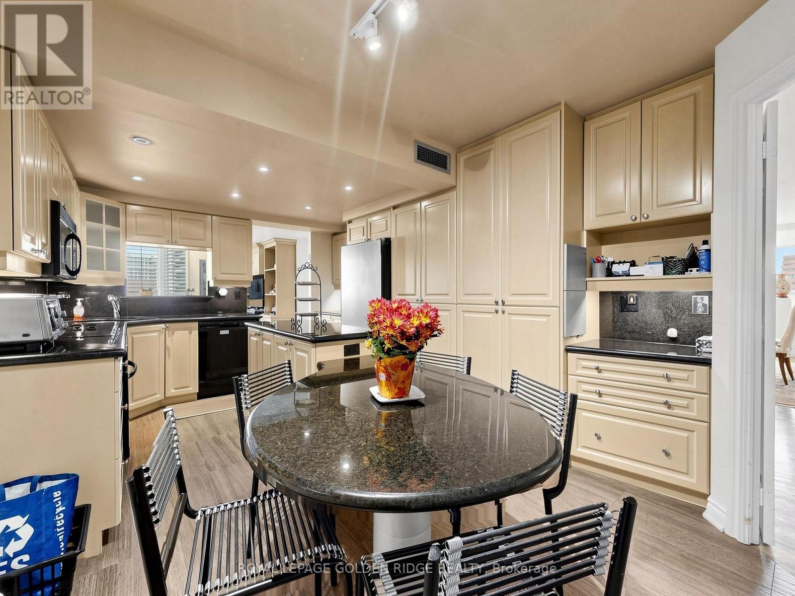1002 - 65 Spring Garden Avenue Property Photo 15